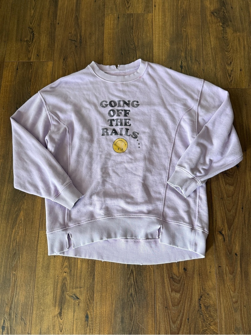 AERIE THE CHILL CREW Going off the Rails Sweatshirt Lavender Size Small - Picture 2 of 7